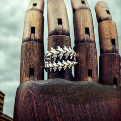 Spine Ring (Adjustable)