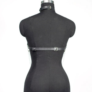 Berlina Harness