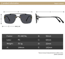 Load image into Gallery viewer, Resident DD Aviators