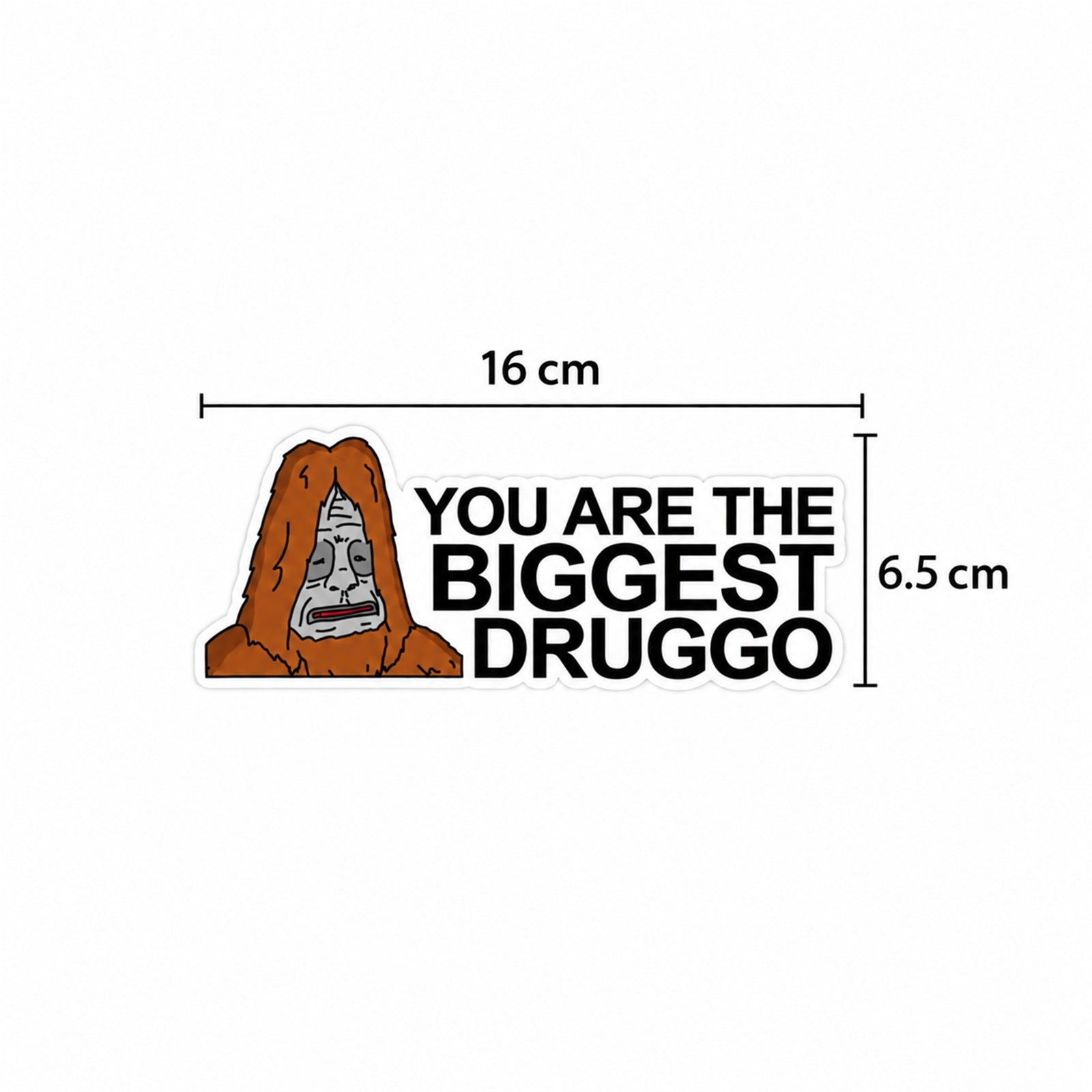 Sassy Sticker with a long-haired cartoon character and 16 cm by 6.5 cm size guides